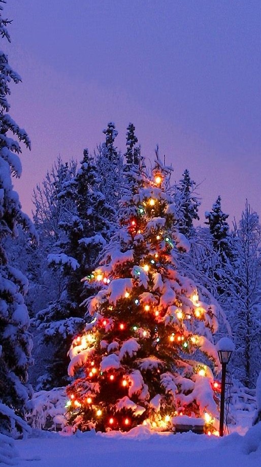 Weihnachtsbaum geschmückt im Freien und Schnee